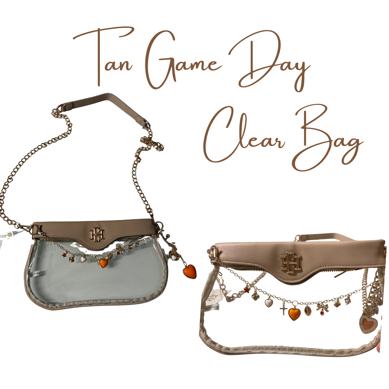 Clear Rectangle Stadium Bag