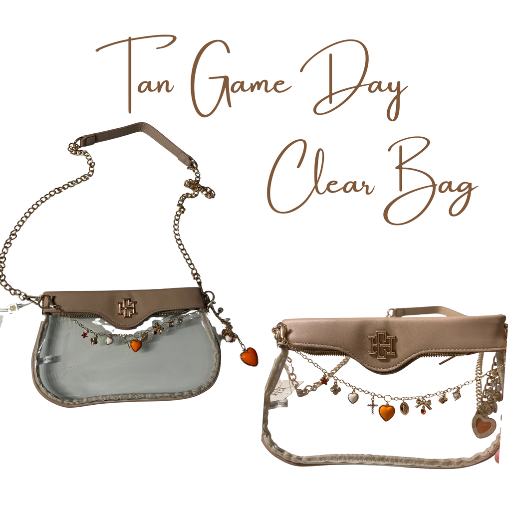 Clear Rectangle Stadium Bag